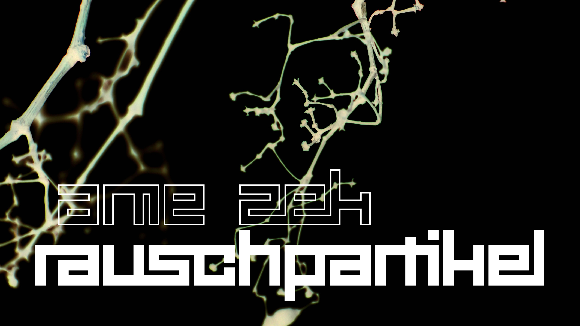 2021-04-17 Ame Zek - rauschpartikel (elektro akustisch) (Recording, Mixe)